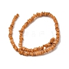 Natural Freshwater Shell Beads SHEL-B003-01H-2