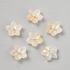 Baking Paint Handmade Lampwork Bead Cap LAMP-WH0009-21K-1