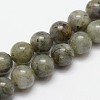 Natural Labradorite Bead Strands G-O155-05B-4mm-1