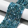 Natural Apatite Beads Strands G-G189-D16-02-2