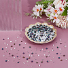 137G 9 Styles Colours Luster Czech Glass Seed Beads SEED-WR0001-04-4