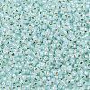 TOHO 11/0 Round Beads X-SEED-TR11-PF2116-2
