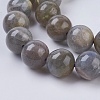 Natural Labradorite Beads Strands X-G-G212-10mm-23-3