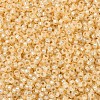MIYUKI Round Rocailles Beads X-SEED-G007-RR0552-3