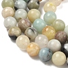 Natural Flower Amazonite Beads Strands G-F415-10mm-6