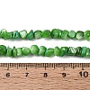 Natural Freshwater Shell Beads Strands SHEL-N037-04J-4