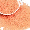 6/0 Luminous Glass Seed Beads SEED-NH0001-01D-2