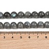 Natural Labradorite Beads Strands G-P336-19-8mm-01-4