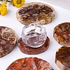 Flat Round Natural Petrified Wood Cup Mat PW-WGC91E4-01-3