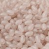 Transparent Colours Glass Seed Beads X-SEED-F006-03A-06-3