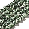 Natural Green Spot Jasper Beads Strands G-R190-10mm-68-2