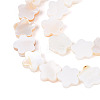 Natural Freshwater Shell Beads Strands SHEL-S276-111A-3