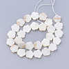 Natural Freshwater Shell Bead Strands X-SHEL-T001-A01-2