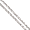 304 Stainless Steel  Eyeglasses Chains AJEW-EH00407-5