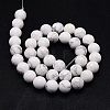 Natural Howlite Beads Strands TURQ-G090-10mm-2