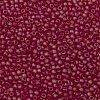 TOHO Round Seed Beads SEED-TR11-0165BF-2