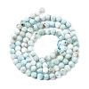 Natural Larimar Beads Strands G-F785-B01-02-3