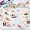 Natural Sea Shell Beads Kits SSHEL-PH0002-49-10