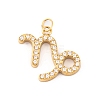 316 Stainless Steel Micro Pave Cubic Zirconia Pendants STAS-K284-01E-G-1