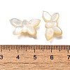 Natural White Shell Beads BSHE-Z008-02-4