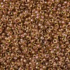 MIYUKI Round Rocailles Beads SEED-X0054-RR0345-3