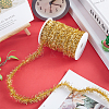   Sparkle Tinsel Hanging Garland DIY-PH0009-31-4