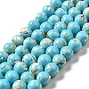 Synthetic Turquoise and Sea Shell Assembled Beads Strands G-D482-01A-07-2