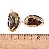 Natural Paua Shell Pendants SSHEL-N038-18A-3