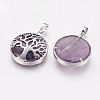 Natural Amethyst Pendants X-G-E388-09P-1