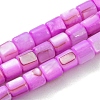 Natural Freshwater Shell Beads Strands SHEL-F008-04-2