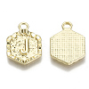 Alloy Pendants PALLOY-N157-003J-NR-3