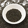 MIYUKI Delica Beads X-SEED-J020-DB0007-2