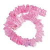 Natural Crackle Quartz Beads Strands G-R012-B06-04-2