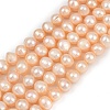 Natural Cultured Freshwater Pearl Beads Strands PEAR-I007-07Z-02B-2