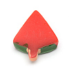 Resin Cabochons CRES-T005-05-2