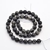 Faceted Round Natural Larvikite Beads Strands G-E302-083-8mm-2