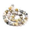 Natural African Opal Beads Strands G-B048-B03-03-4