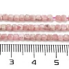 Natural Rhodonite Beads G-H042-B20-01-5