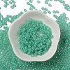 Glass Seed Beads X1-SEED-H002-E-A1417-2