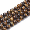 Natural Tiger Eye Beads Strands X-G-S333-10mm-001-1