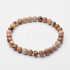 Round Natural Picture Jasper Stretch Bracelets BJEW-O117-03-1