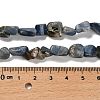 Natural Kyanite Beads Strands G-P497-01E-40-5