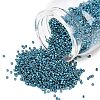 MIYUKI Delica Beads SEED-MY11-DB2515-1