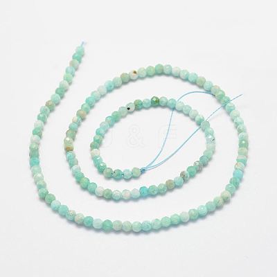 Natural Amazonite Bead Strands X-G-P279-42-3mm-1