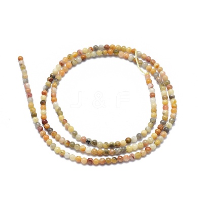 Natural Crazy Lace Agate Beads Strands G-A177-04-20-1