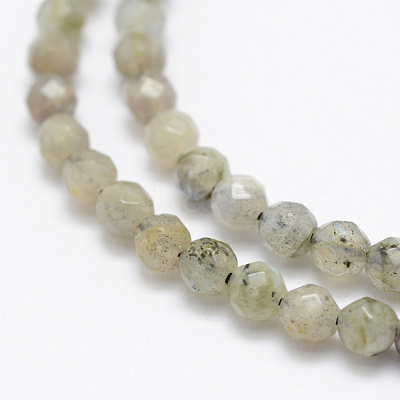 Natural Labradorite Beads Strands G-P322-28-4mm-1
