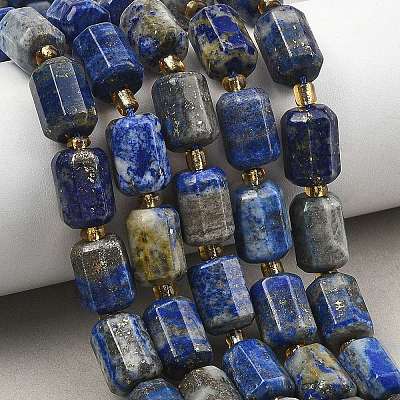 Natural Lapis Lazuli Beads Strands G-D103-A02-1