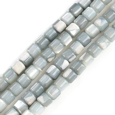 Natural Trochid Shell/Trochus Shell Bead Strands SSHEL-N034-77-C01-1