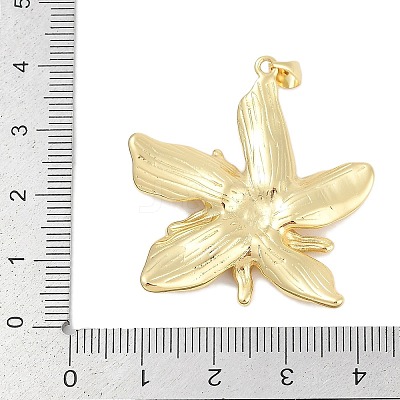 Rack Plating Brass Pendants KK-Q028-42G-1
