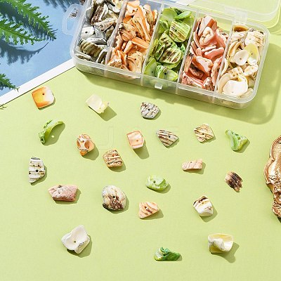 125G 5 Colors Natural Shell Bead Strands BSHE-FS0001-06B-1
